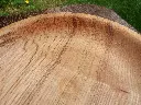 DSCF0840.webp
